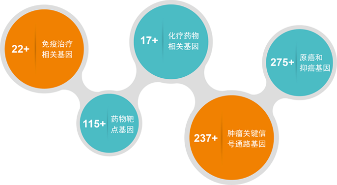 结直肠癌基因检测